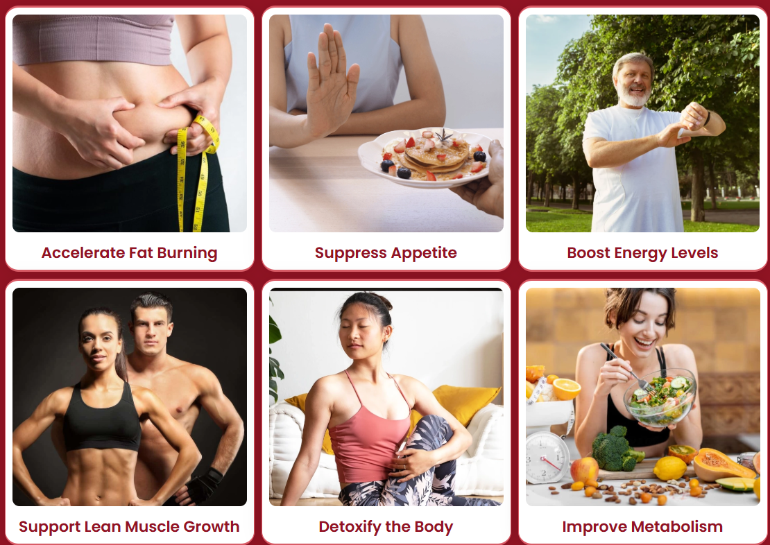 Momburn® benefits — accelerate fat burning, suppress appetite, boost energy